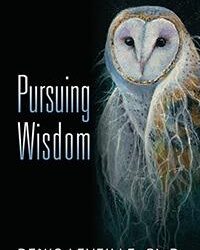 Pursuing Wisdom