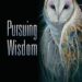 Pursuing Wisdom