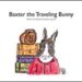 Baxter the Traveling Bunny