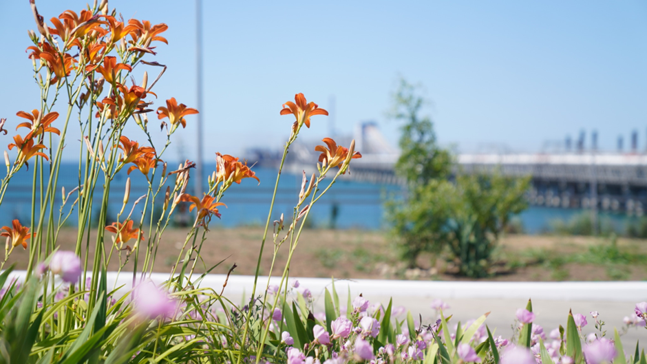 مجموعة أوتيكو (OTEKO) تصدر ملخص الربع الثالث عن حالة البيئة البحرية