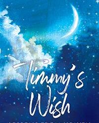 Timmy’s Wish: Lessons from Heaven