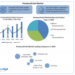 Pentaerythritol Market: Global Industry Analysis and Forecast (2024-2030)