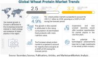 Wheat Protein Market Growth: Key Trends and Opportunities for Industry Leaders