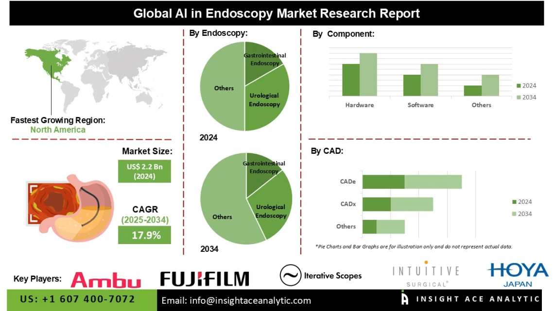 AI in Endoscopy Market Trends Highlighting Adoption of AI Driven Imaging Systems and Improved Diagnostic Accuracy in Hospitals and Clinics