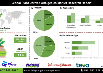Plant Derived Analgesics Market Outlook Highlighting Rising Consumer Preference for Herbal Medicines